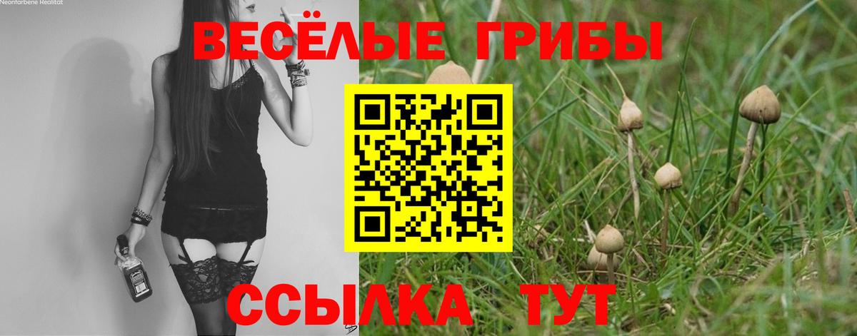 где купить наркотик  Вход с VPN  Пыть-Ях  Галлюциногенные грибы Psilocybe  Псилоцибиновые грибы ЛСД 